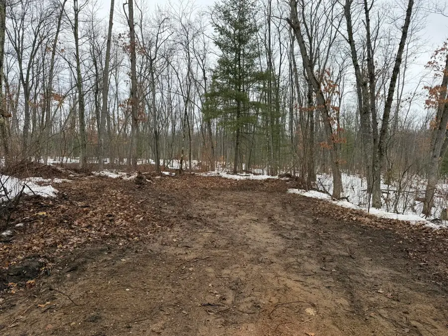 Steinberg Road, Wellston, MI 49689 - #2