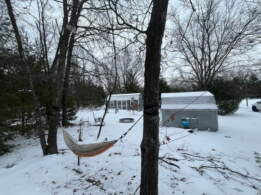 121 W Pierce Drive, White Cloud, MI 49349 - #1