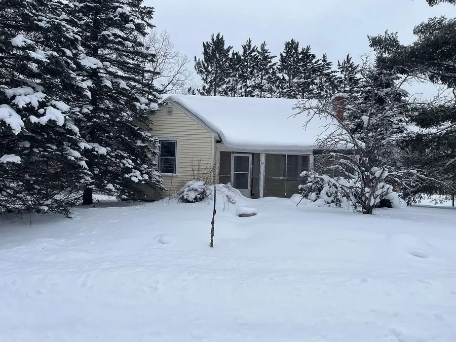 343 E Dubois, Idlewild, MI 49642 - #2