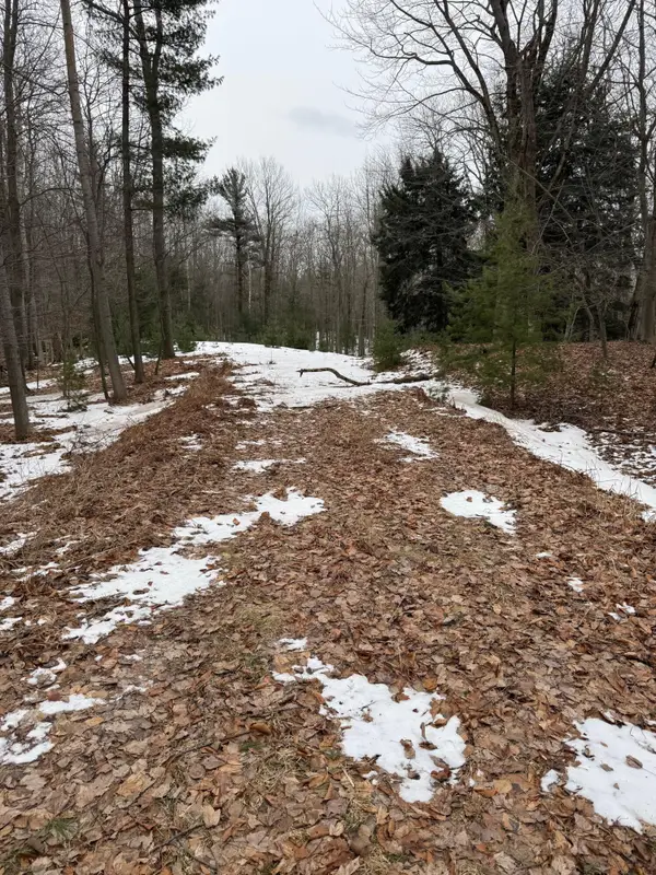 West Fox Farm Road, Manistee, MI 49660