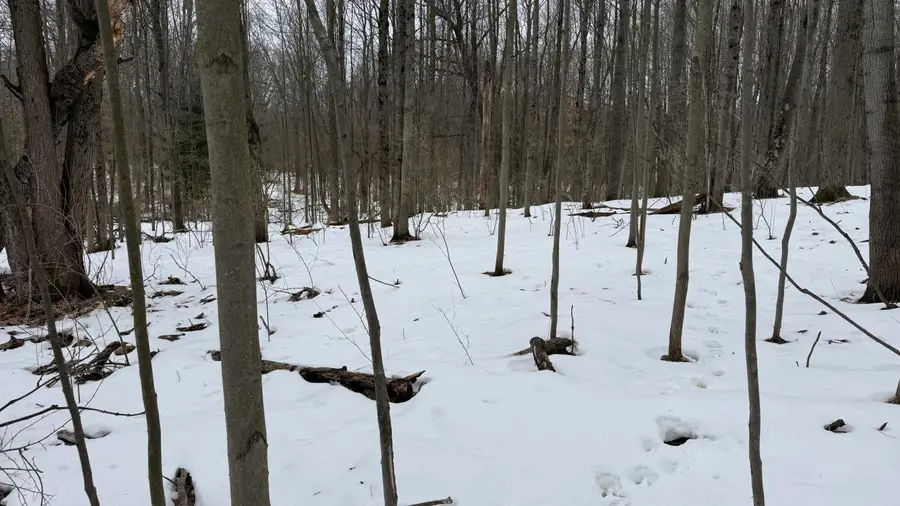 6416 S Taylor Road, Branch, MI 49402 - #3