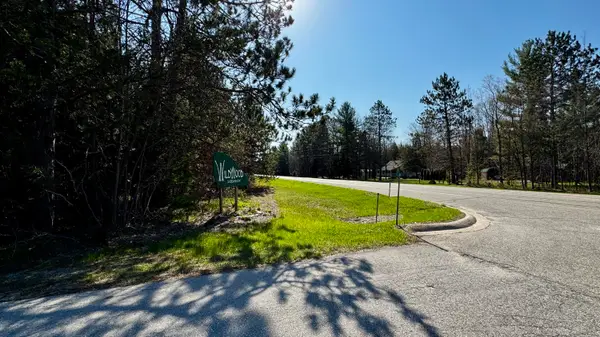 Lot # 9 Whitetail, Cadillac, MI 49601