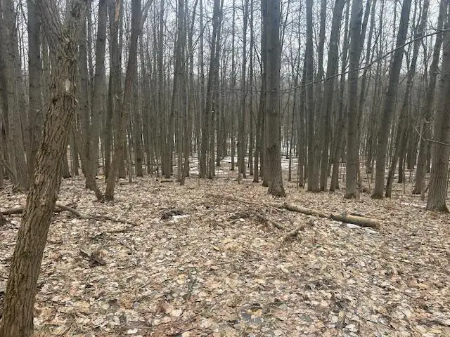 9735 Pere Marquette Drive, Canadian Lakes, MI 49346 - #1