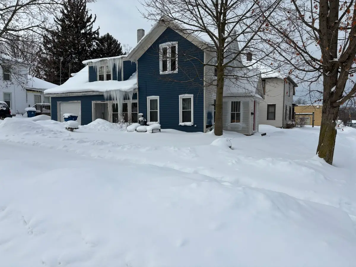 217 E Lincoln Street, Hart, MI 49420 - #1