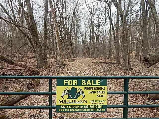 777 39th Street, Allegan, MI 49010 - #3