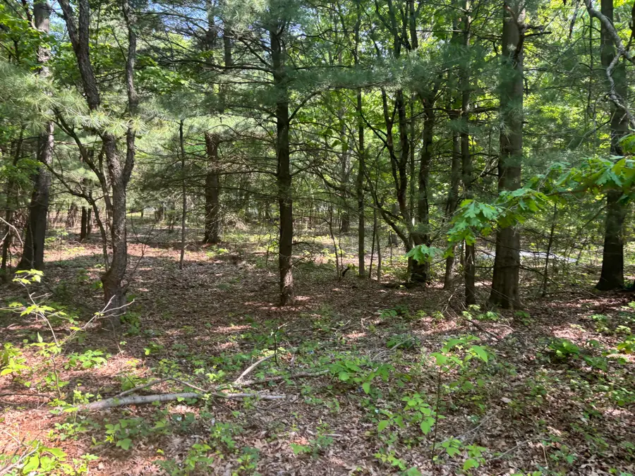 5341 Baseline Road, Grand Junction, MI 49056 - #3