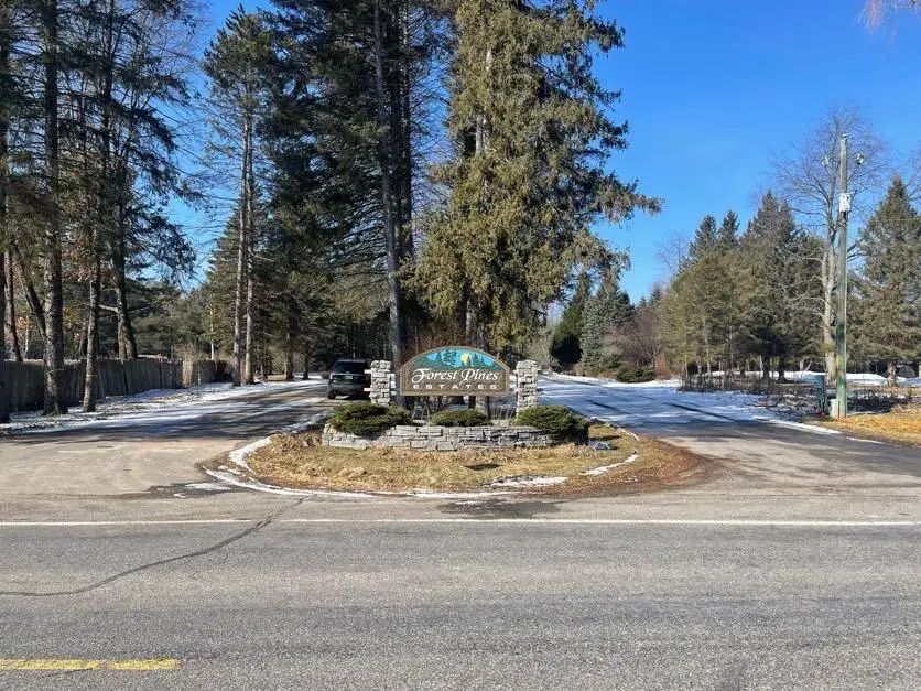 9086 Forest Pines Drive, Mecosta, MI 49332 - #1