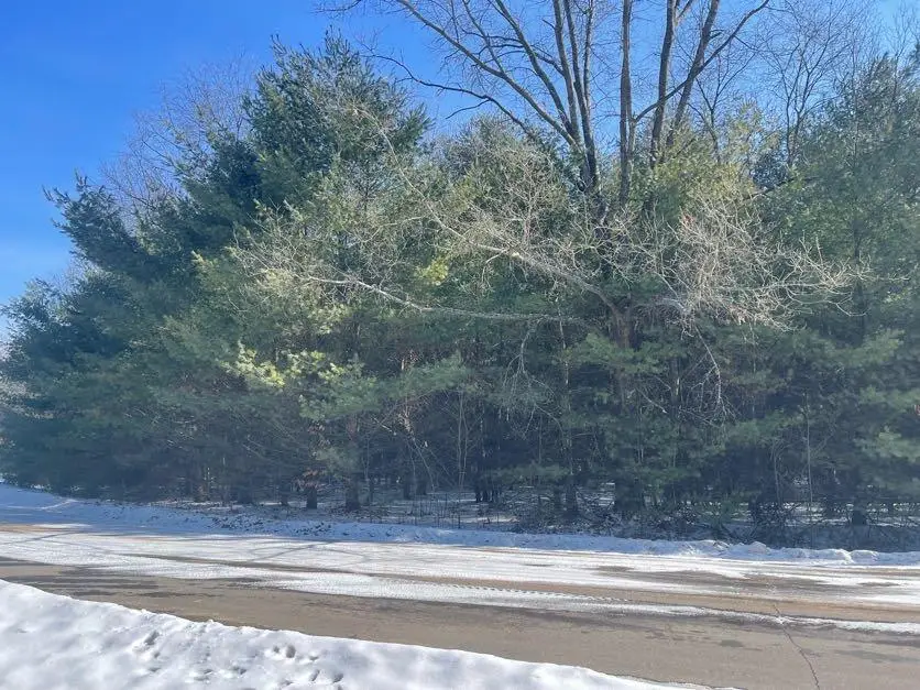 9086 Forest Pines Drive, Mecosta, MI 49332 - #3