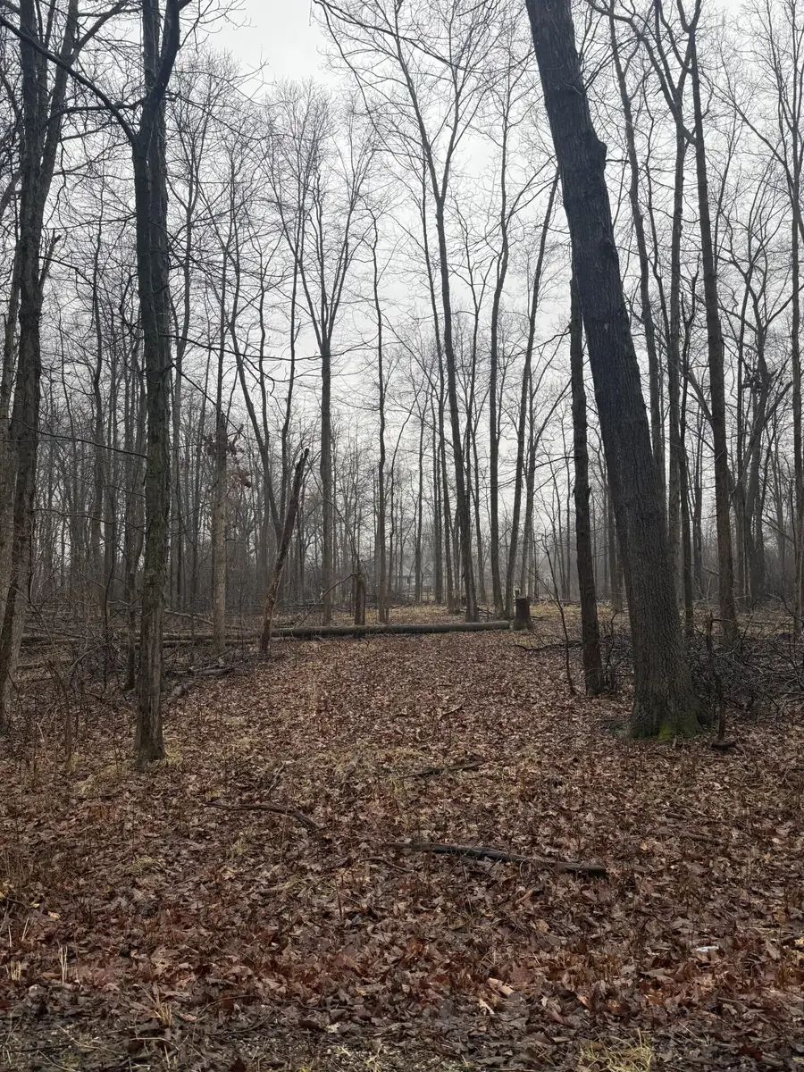 6067 Leora Lane, Jackson, MI 49201 - #3