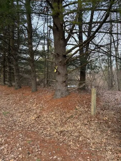 4311 S Youngman Road, Greenville, MI 48838