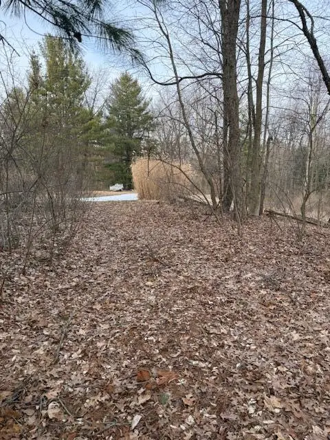 4311 S Youngman Road, Greenville, MI 48838 - #3