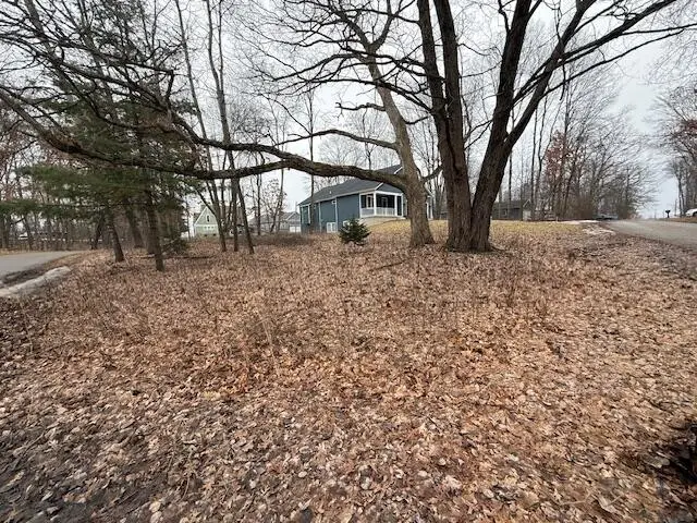 7664 8th Street, Stanwood, MI 49346 - #2