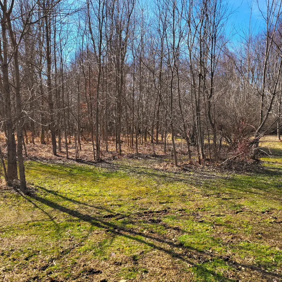 01 Hoder Road, New Buffalo, MI 49117 - #3