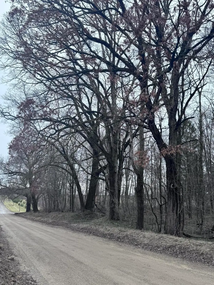 95085 70th Street, Benton Harbor, MI 49022 - #2