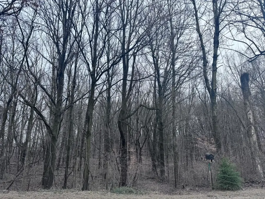 95085 70th Street, Benton Harbor, MI 49022 - #3