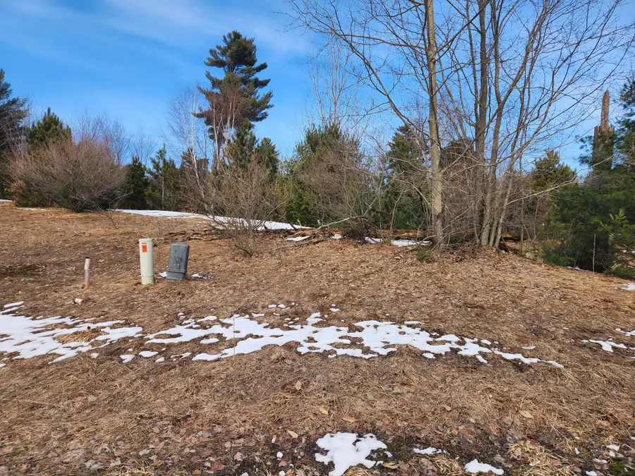 Vacant E Starlight Ridge Circle #58, Onekama, MI 49675 - #3