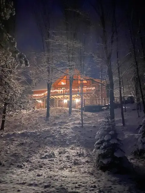 8723 N 96th Avenue, Pentwater, MI 49449 - #1