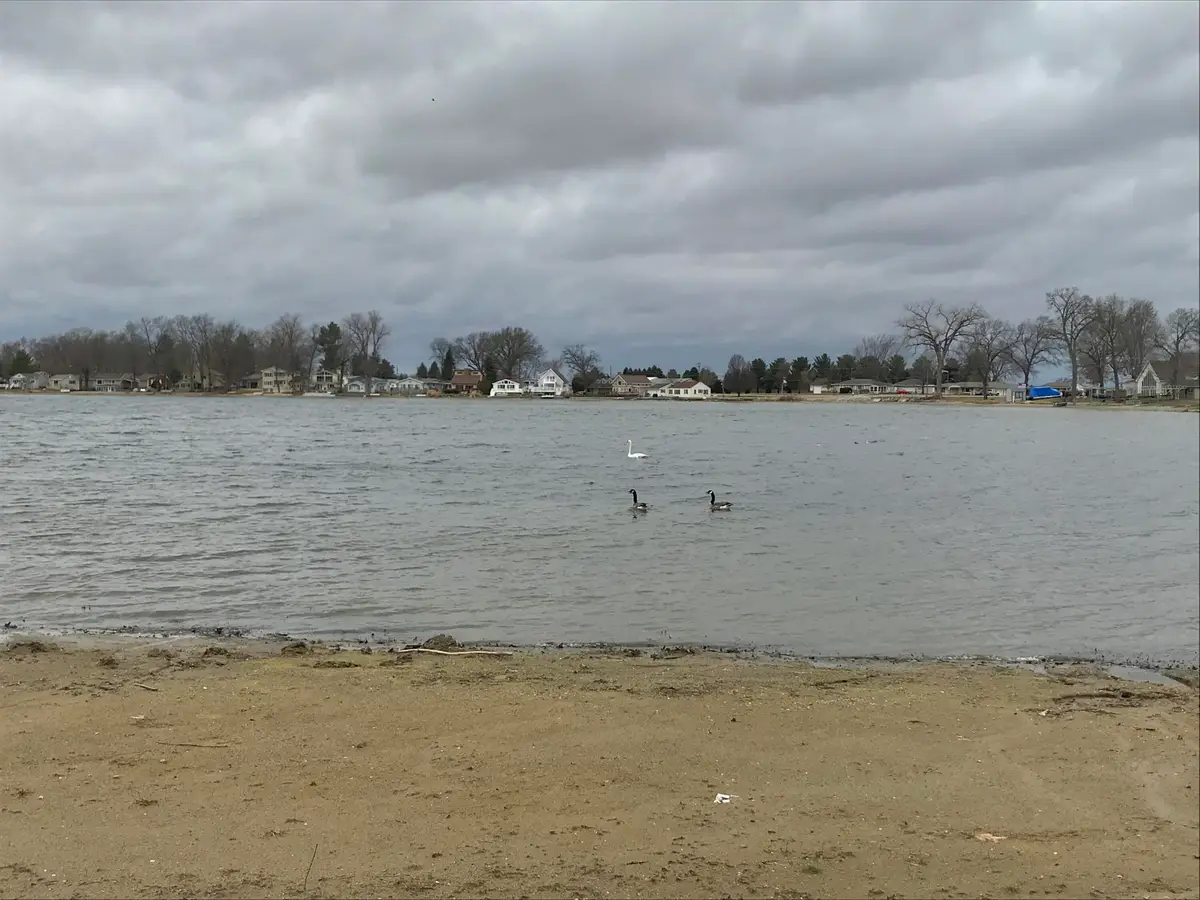 E Lake Drive, White Pigeon, MI 49099 - #1