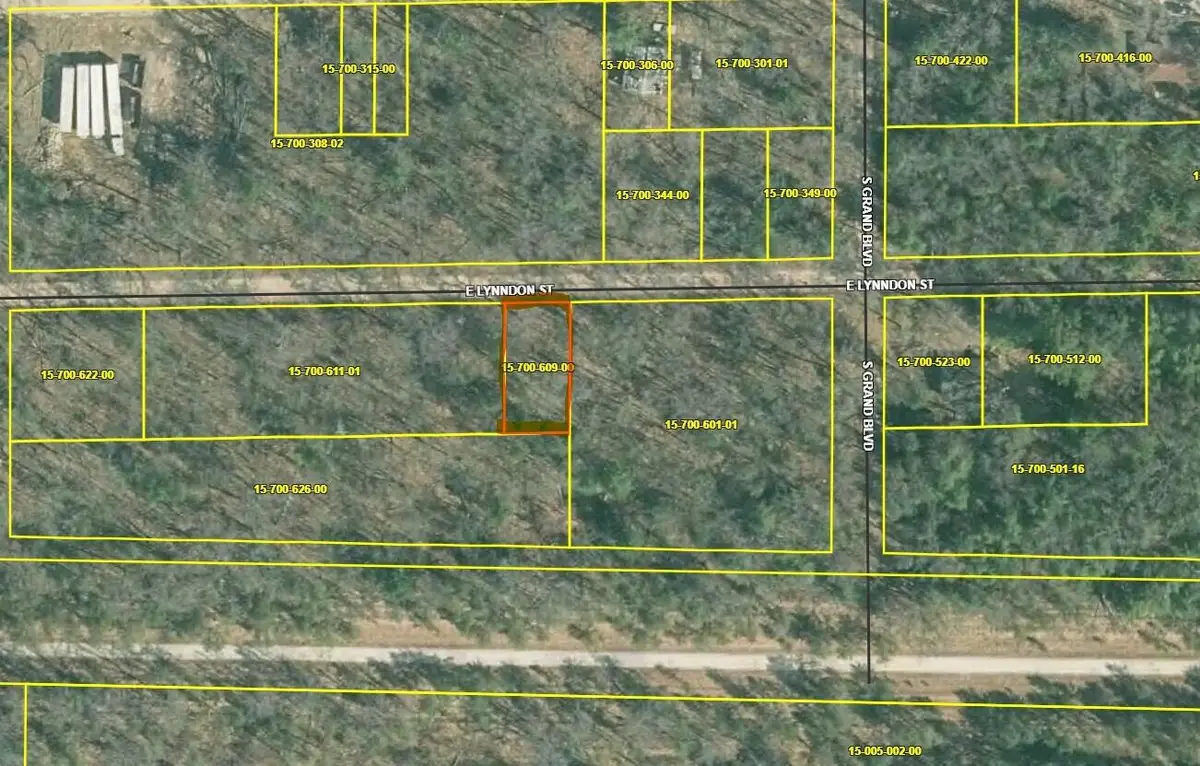 VL E Lynndon Street, Idlewild, MI 49642 - #1