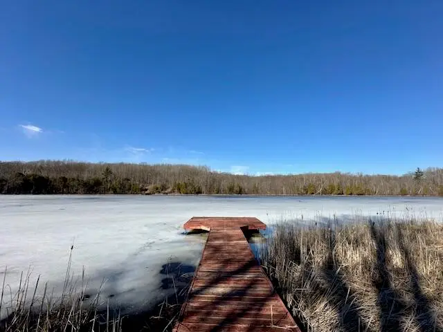 5993 Crepin Lane, Hesperia, MI 49421 - #2