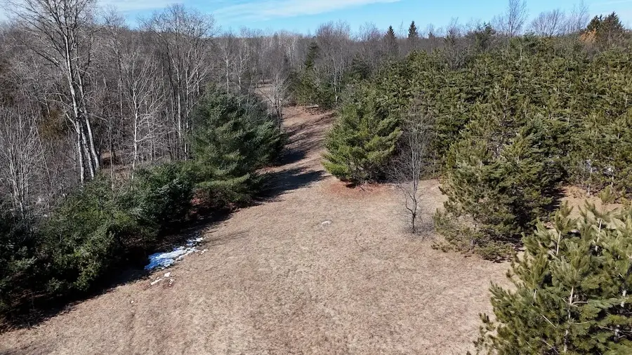 V/L 200th Avenue, Tustin, MI 49688 - #2