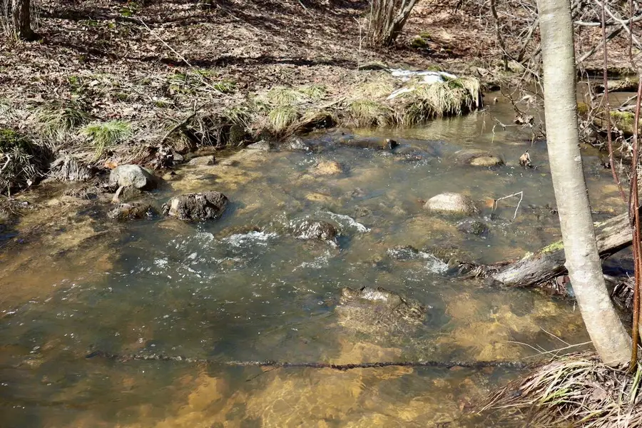 V/L 200th Avenue, Tustin, MI 49688 - #3