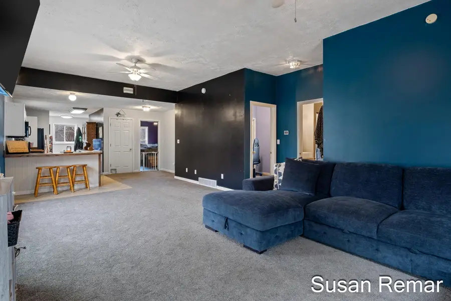 212 Mill Street, Ionia, MI 48846 - #3