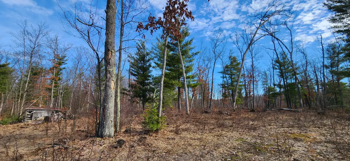 7746 N Woodbridge Road, White Cloud, MI 49349 - #1