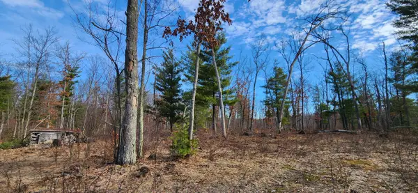 7746 N Woodbridge Road, White Cloud, MI 49349