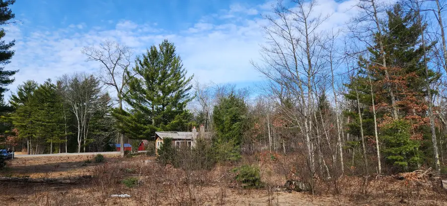 7746 N Woodbridge Road, White Cloud, MI 49349 - #2