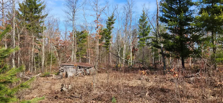 7746 N Woodbridge Road, White Cloud, MI 49349 - #3