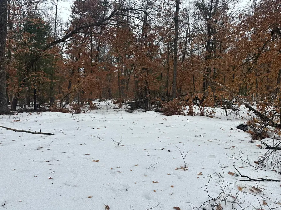 00 S Stanberry, Baldwin, MI 49304 - #2