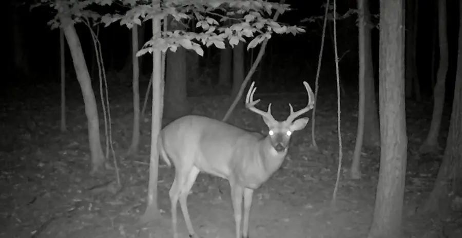 S Pittsford Road #0 V/L, Pittsford, MI 49271 - #3