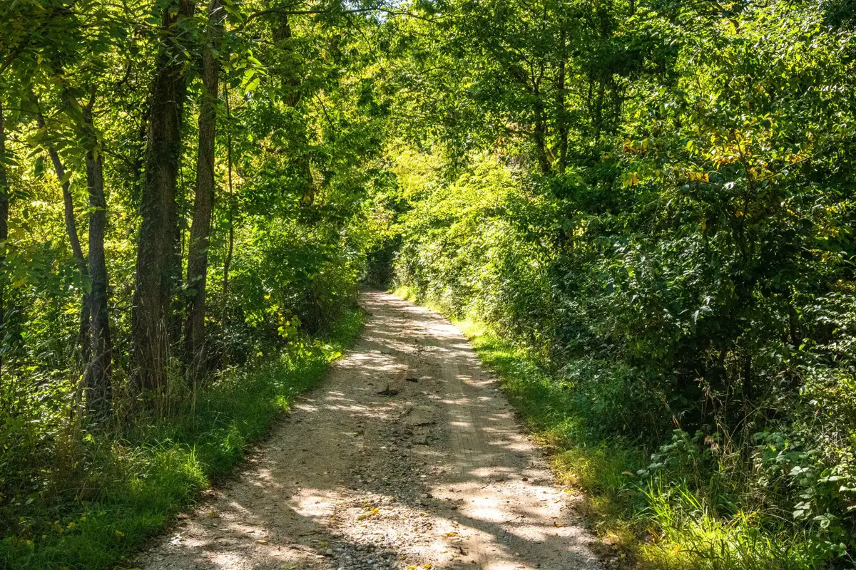 667 Pierce Road, Plainwell, MI 49080 - #1