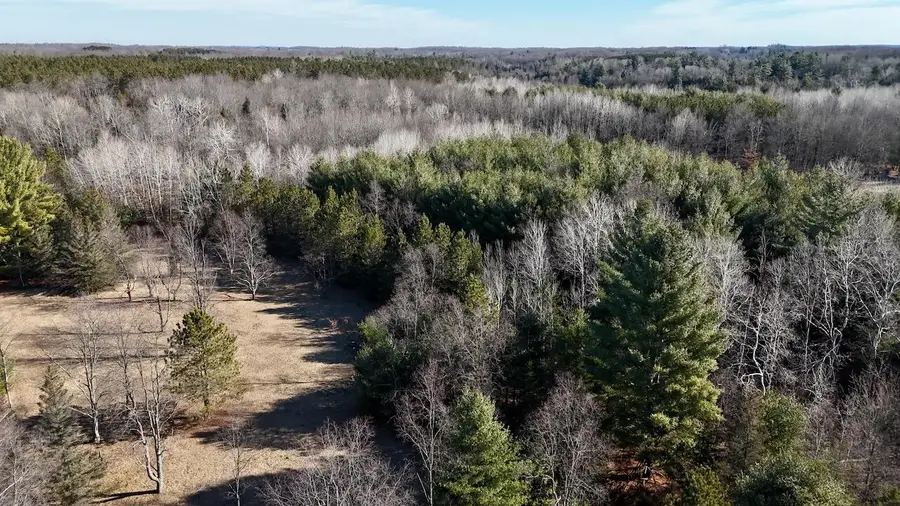 20334 11 Mile Road, Leroy, MI 49655 - #2