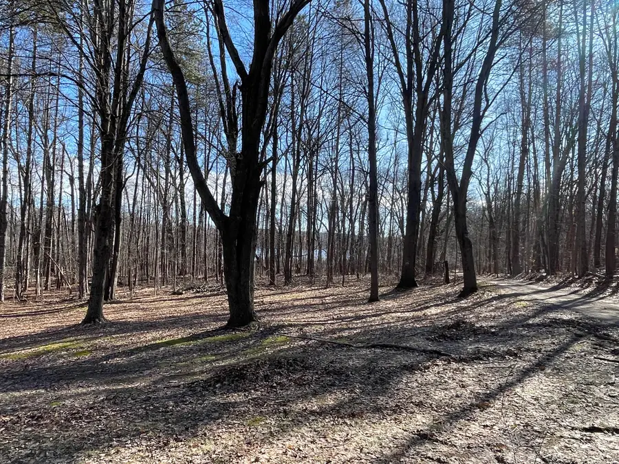 11969 Strait Road, Hanover, MI 49241 - #2