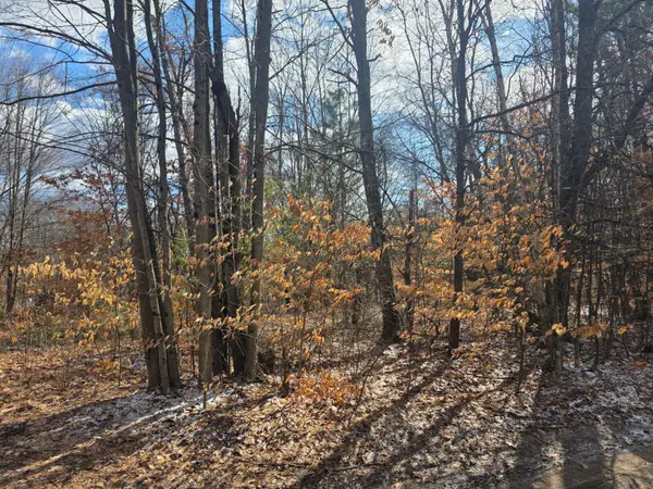 3rd St, White Cloud, MI 49349