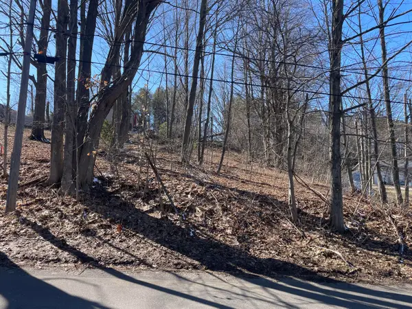 N Pine Street, Shelby, MI 49455