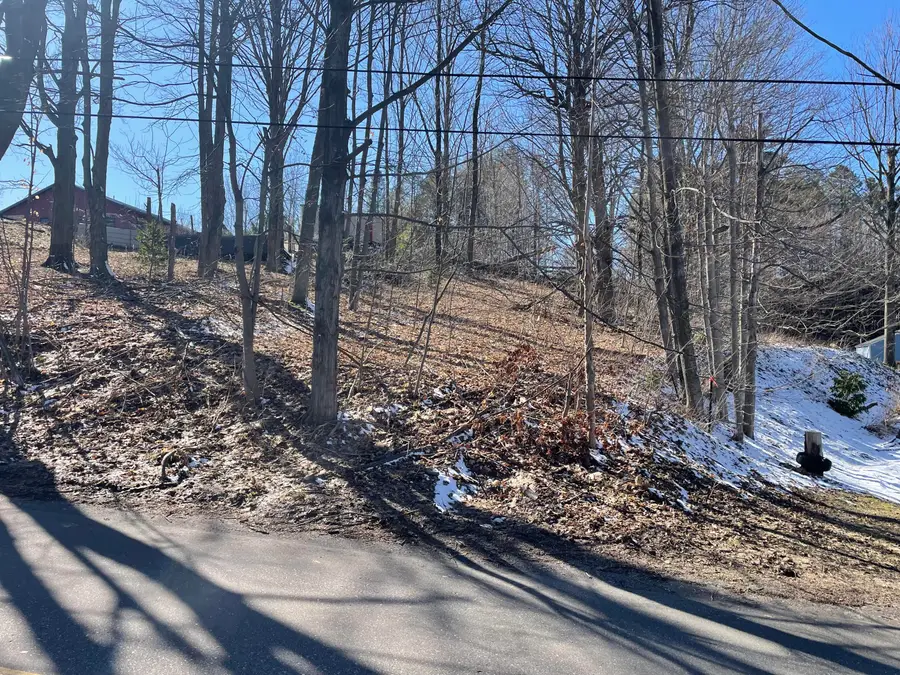 N Pine Street, Shelby, MI 49455 - #2