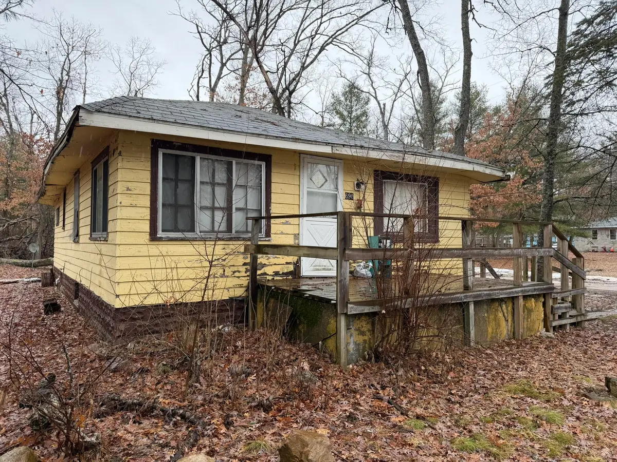 690 E Essex Drive, Idlewild, MI 49642 - #1
