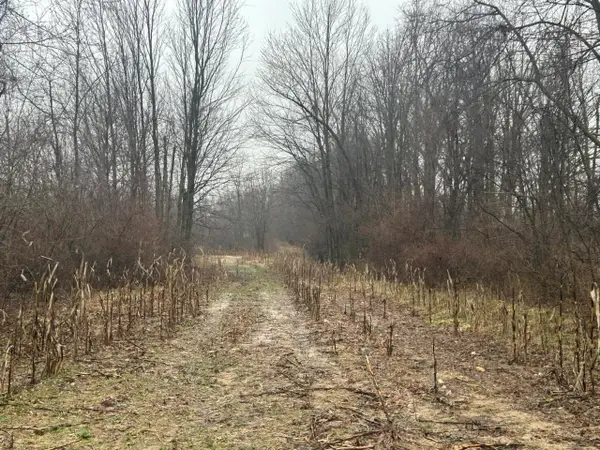 S Hillsdale Road #0 V/L, Hillsdale, MI 49242