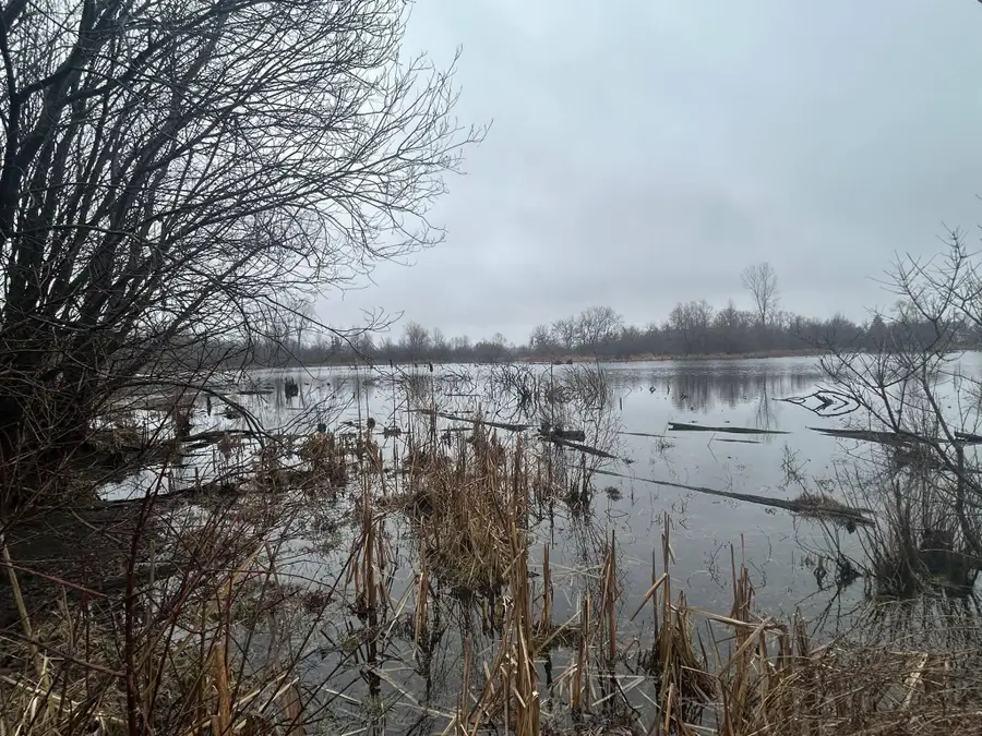 S Hillsdale Road #0 V/L, Hillsdale, MI 49242 - #2