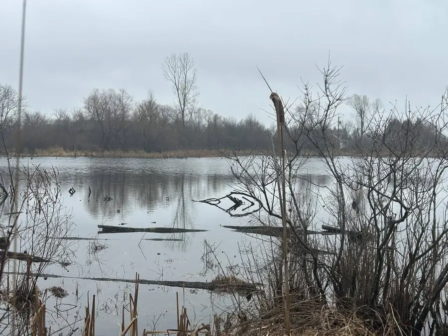 S Hillsdale Road #0 V/L, Hillsdale, MI 49242 - #3