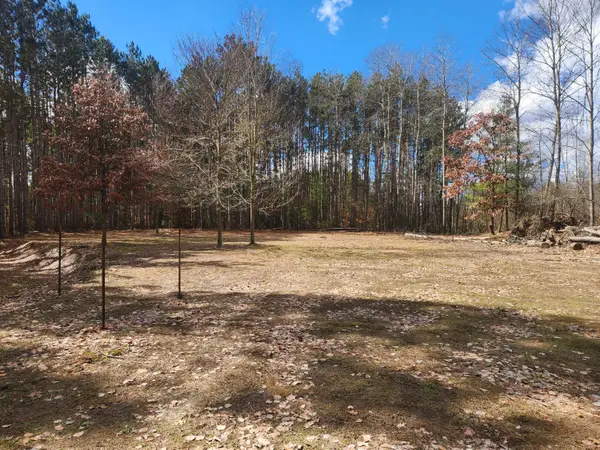 8 Mile Road, Stanwood, MI 49346