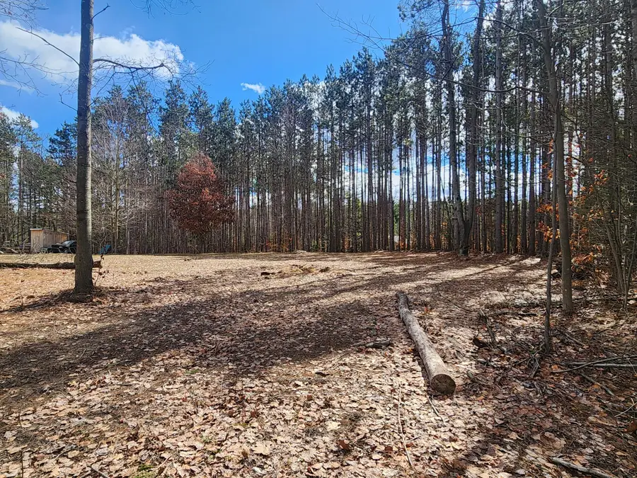 8 Mile Road, Stanwood, MI 49346 - #3