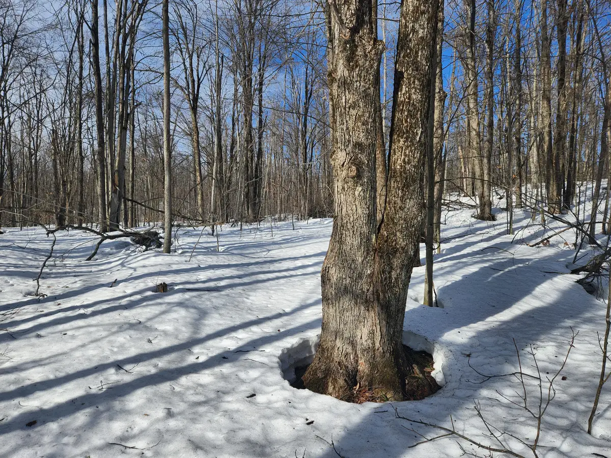 Valleyridge Circle, Alba, MI 49611 - #1