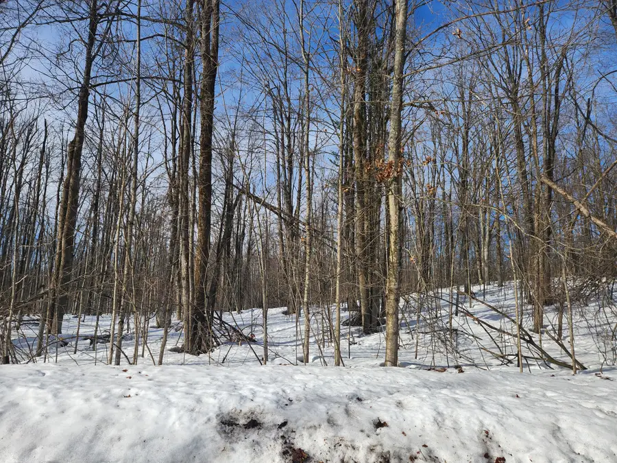 Valleyridge Circle, Alba, MI 49611 - #3