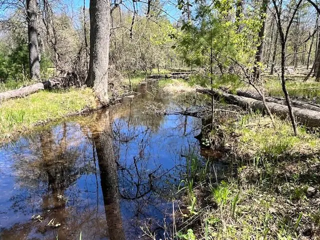 13191 Chicago Avenue, Wellston, MI 49689 - #3