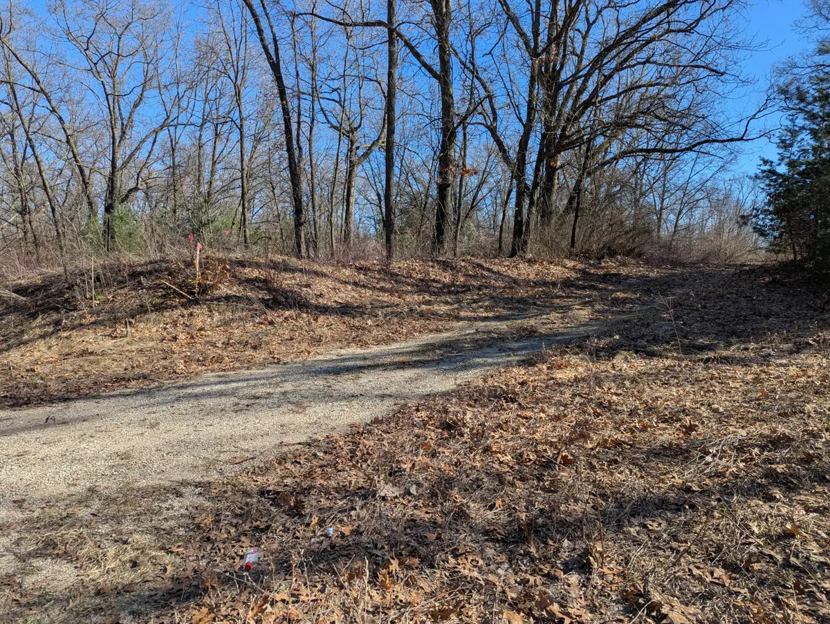 Parcel B E 136th Street, Sand Lake, MI 49343 - #1