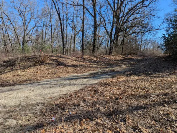 Parcel B E 136th Street, Sand Lake, MI 49343